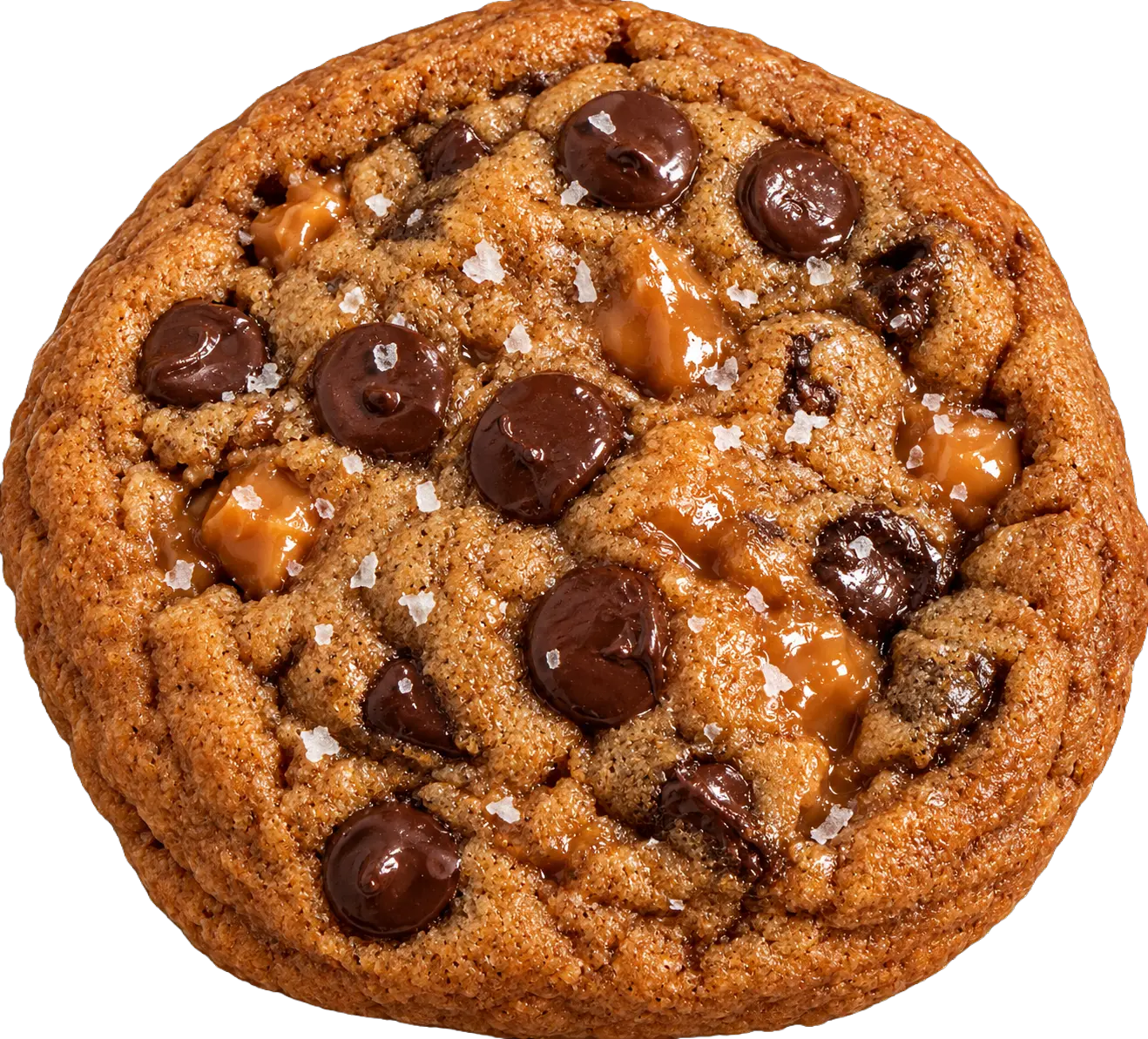 Chocolate Salted Caramel cookie